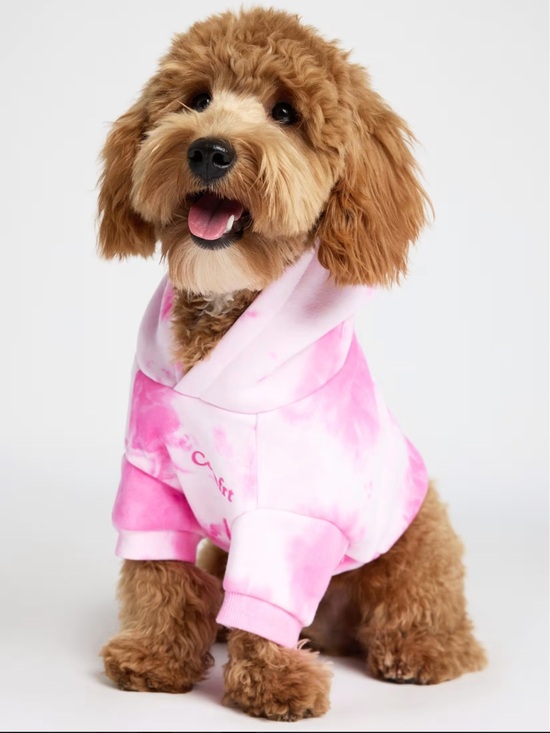 Other - Comfort Minimalist Paw Hoodie